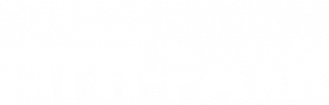 Logo - CITTY Park